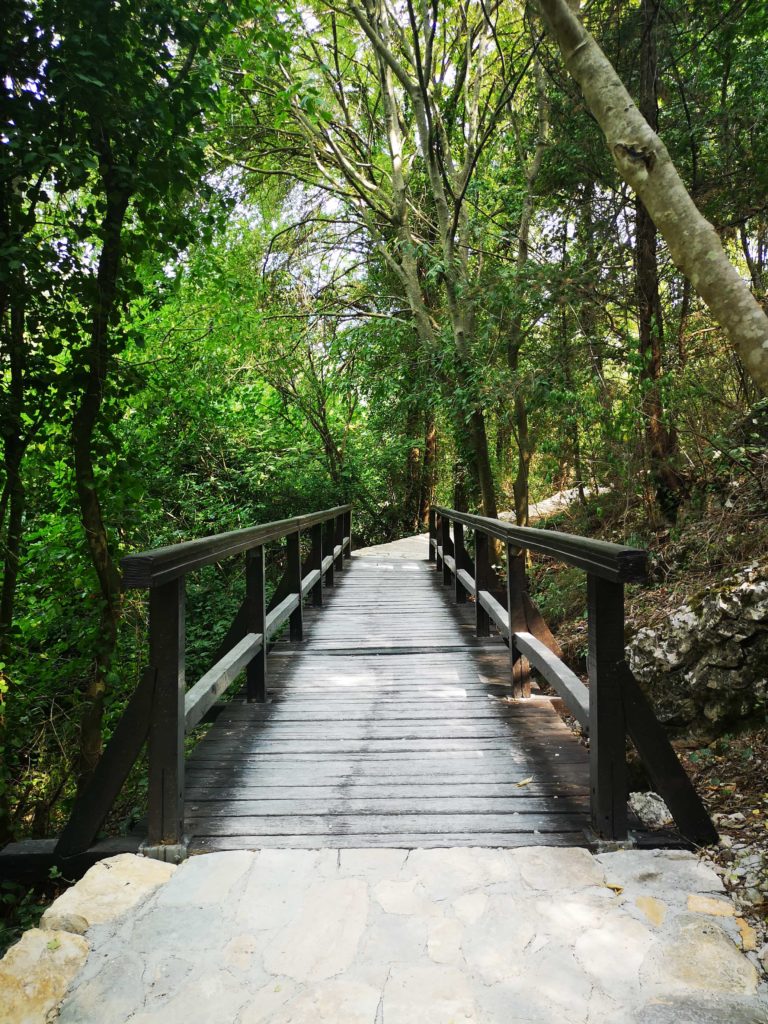 Krka Pont