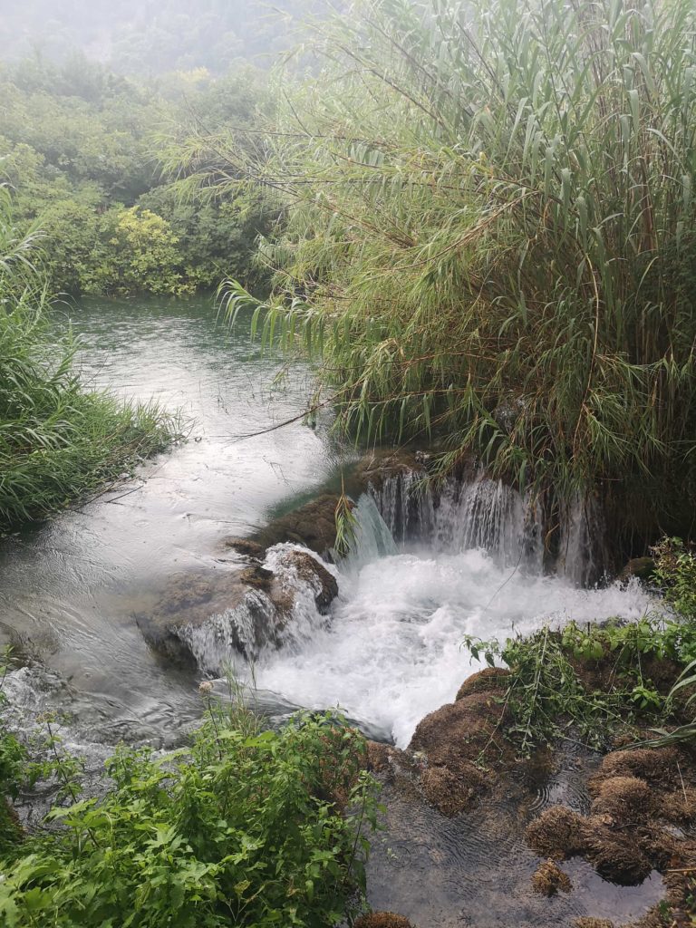 Krka parc